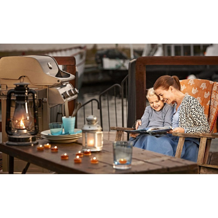 Гриль газовый Weber Spirit E-320 Original GBS - 46613675