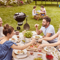 Угольный гриль Master-Touch Premium SE E-5775 Weber 17401004