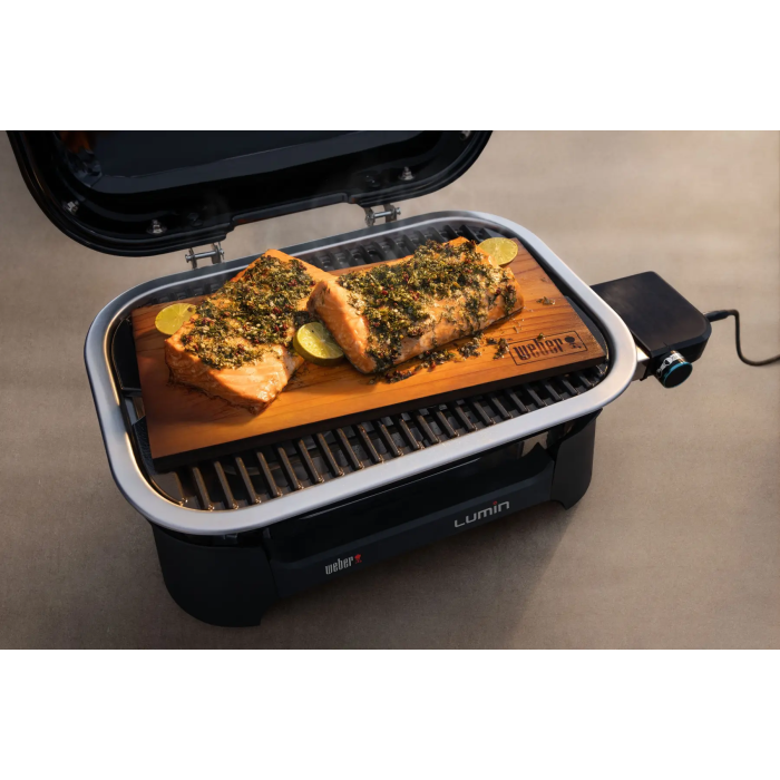 Электрический гриль Weber Lumin Compact 1000, черный 91010979