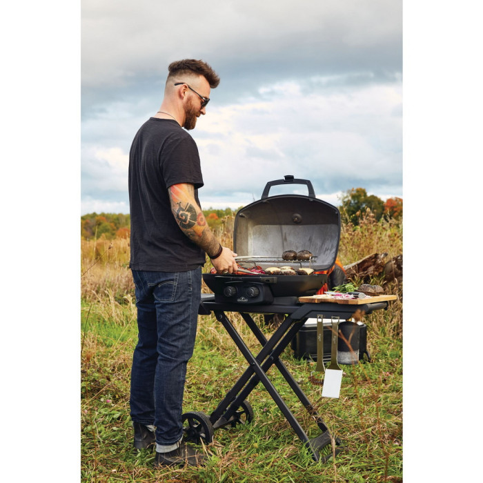 Газовый портативный гриль Napoleon TravelQ PRO285X PHANTOM на подставке, PRO285X-MK-RC-PHM