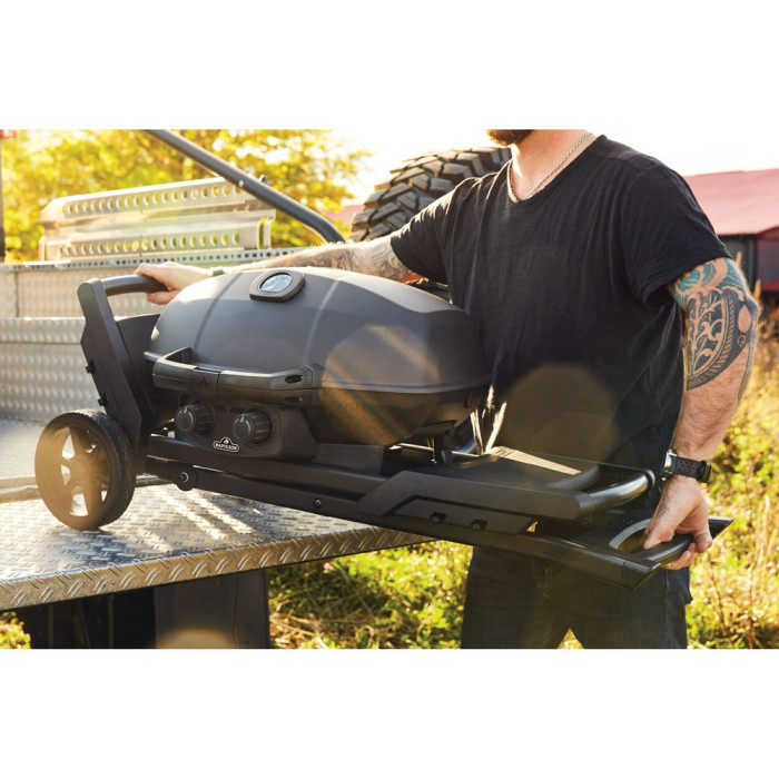 Газовый портативный гриль Napoleon TravelQ PRO285X PHANTOM на подставке, PRO285X-MK-RC-PHM
