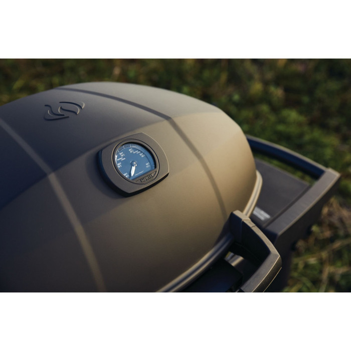 Газовый портативный гриль Napoleon TravelQ PRO285X PHANTOM на подставке, PRO285X-MK-RC-PHM