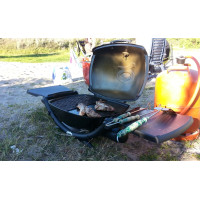Портативный газовый гриль Q2200 Weber 54011569