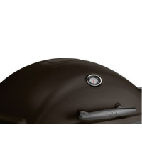 Портативный газовый гриль Q2200 Weber 54011569