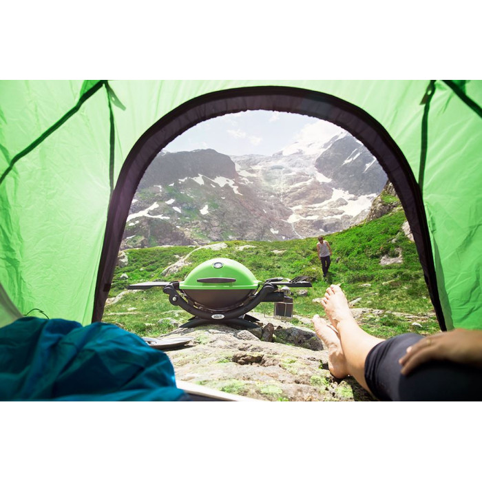 Газовый гриль Q1200 Weber GREEN 51120075