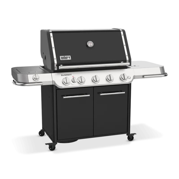 Газовый гриль Weber Summit FS38 E черный 1500059