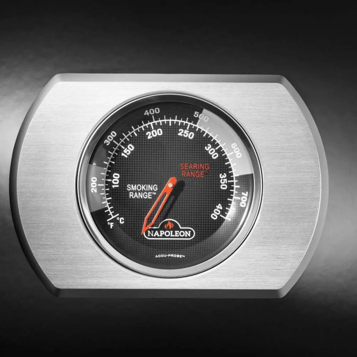 Газовый гриль Napoleon Rogue PRO-S 625 RSIB чёрный RPS625RSIBPK-2-UA