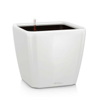 QUADRO LS 43 Белый блестящий - 16180