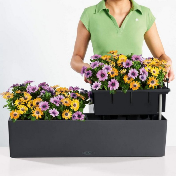 Вазон Lechuza Balconera Color 80, белый