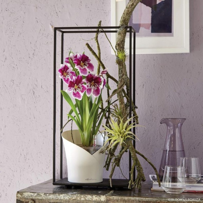 ORCHIDEA серый матовый - 13961